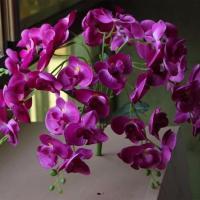 蝴蝶兰仿真花假花套装客厅家居摆件室内装饰花电视柜餐桌摆设盆栽 7叉蝴蝶兰紫色单支