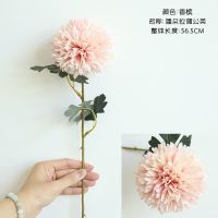 蒲公英花仿真绣球花假花花束套装家居客厅餐桌茶几装饰花花艺摆件 香槟色1枝