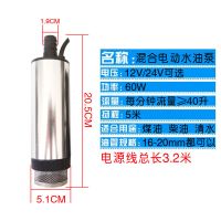 抽油泵12v柴油电动油泵24伏直流加油机潜水泵自吸油泵汽车抽水泵 12v(5.1cm)加强版