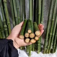 成品文玩实心竹手把件 实心玉竹把件 原料长度10-15CM直径1.3左右