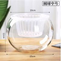水培玻璃植物圆球花盆室内桌面摆件花卉水养器皿灯笼办公绿萝花瓶 15圆球[加深篮子] 中等