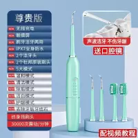 家用牙结石去除器超声波去除牙垢牙结石清理器洗牙器牙结石神器 [靛蓝青] [电池款]+1头-送电池