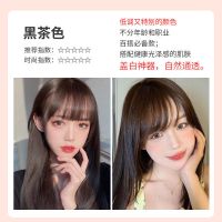 染发剂2021流行色染发膏自己染显白学生永久蓝黑茶色在家染头发膏 黑茶色(无需褪色)可盖白发 基础套装:染膏1支及配套工