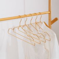 太空铝合金衣架成人晾衣架家用晒衣架无痕衣架挂钩防风衣服架衣撑 香槟金2个试用装(实心衣架)