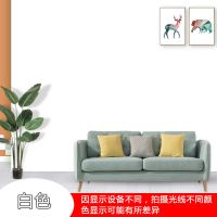 内墙乳胶漆室内家用白色彩色防霉环保油漆涂料墙面修复自刷粉墙漆 01白色 [内墙漆]500克无工具