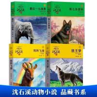 沈石溪动物小说全套4册狼王梦斑羚飞渡第七条猎狗最后一头战象 品藏系4本一套