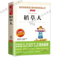 快乐读书吧三年级上册课外阅读书全套安徒生童话格林童话稻草人书 稻草人(精读版)