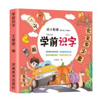 幼小衔接学前识字早教启蒙识字教材共155000字汉子拼音偏旁部首 学前识字(155000字)