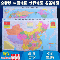 数字油画北欧复古怀旧全国各省行政区划地图办公室装饰墙贴画 世界地图 中