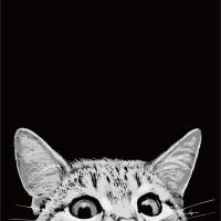 数字油画大幅 diy填色客厅装饰画 动漫卡通迷你 私人手绘填色画 A046-偷看猫 40X50单张画布无框+画笔颜料