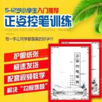 控笔训练字帖正姿控笔笔画幼儿园小学生练字控笔练习初学入门点阵 1本正姿控笔