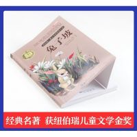 全10册纽伯瑞国际文学奖获奖儿童文学兔子坡6-15岁儿童课外阅读书 兔子坡