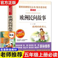 中国民间故事五年级课外书必读全套非洲欧列那狐的故事一千零一夜 完整版]欧洲民间故事