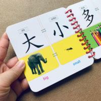 学前宝宝看图识字卡片1-2-3岁儿童认字卡片笔画笔顺早教玩具启蒙 学前宝宝看图识字卡片1-2-3岁儿童认字卡片笔画笔顺早