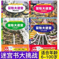 迷宫大冒险书图画捉迷藏专注力注意力训练隐藏的图画小学生高难度
