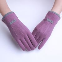 保暖手套女秋冬季德绒韩版可爱百搭骑车加绒触屏开车防寒弹力骑行 紫色1