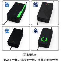 [自动断电]电动车电瓶车三轮车电车充电器48v60V72脉冲修复器 智能维护款[充电红灯充满绿灯] 12V12AH