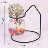 水培多肉植物花盆创意透明玻璃悬挂欧式铁艺雪球肉肉简约花盆摆件 A款铁架+随机大肉-营养液+彩石