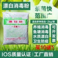 漂白消毒粉井水户外野外饮用水消毒净化地下水漂白粉池塘杀菌养殖 2000g