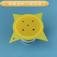 果蝇杯小苍蝇诱捕器果蝇捕捉器水果厨房小飞虫灭杀神器粘虫板室内 1个杯1片粘板无