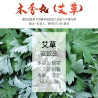 复古文艺小清新香囊球流苏包包挂饰车载汉服吊坠随身佩戴镂空香包 木香丸[艾草](驱蚊虫)8粒