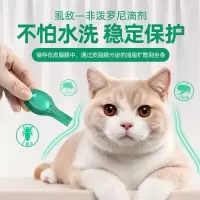 小宠体外驱虫狗狗体外驱虫去跳蚤虱子蜱虫猫咪驱虫专用打虫滴剂[11月15日发完] A猫咪专用(到22年3月)