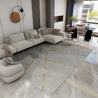 ins风北欧地毯客厅茶几毯现代简约卧室房间满铺床边毯大面积家用 轻奢黑金- 80-120[正品保证]