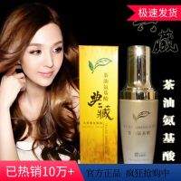 依格美茶油氨基酸护发精油女头发卷发柔顺护理防毛躁修复干枯发 正品典藏氨基酸茶油头修护精油50ML