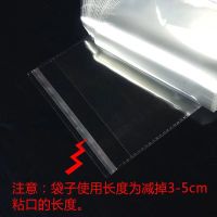 1000个 PP袋 宽6 包装袋迷你 长条PP袋 名片卡片耳饰耳环OPP袋6宽 6*10(7+3)偏薄5丝 100个/包