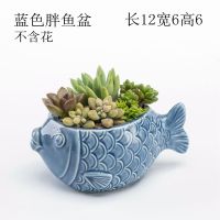 创意个性肉肉植物蓝色简约动物绿萝小号多肉花盆陶瓷批发特价清仓 蓝色胖鱼盆