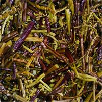 贵州黔东南黎平苗乡侗寨特产野生蕨菜酸蕨菜野菜新款上市如潮 1斤