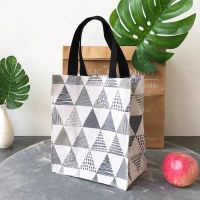 大号手提防水帆布包饭盒袋便当包美术书包补课包手提袋学生补习袋 小号手绘三角(24*21*11cm)