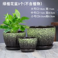 蓝色苹果型花盆陶瓷大号特价清仓家用简约创意绿萝个性多肉带托盘 花点小套三