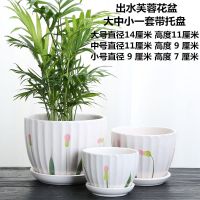 特价清仓花盆陶瓷带托盘大号塑料大号特大号多肉花盆塑料花盆批发 出水芙蓉花盆3件