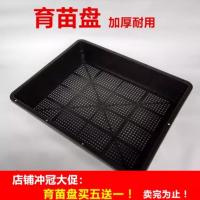 [六个装]多肉加厚育苗盘育苗框多肉整理框收纳框特价 育苗盘1个