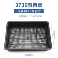 [特价]多肉专用整理筐塑料保温育苗盒花盆托盘小方盆叶插育苗盘 育苗盘1个