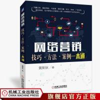 网络营销技巧·方法·案例一本通 网络营销 技巧 方法 案例 官方正版