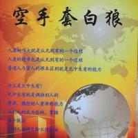 濠骏空手套白狼招实体店营销创富升级及案例招实体店营销策划书0
