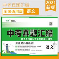 2021中考真题试卷语数英物化中考复习资料卷子精选20各省真题汇编 中考真题 语文