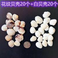 许愿瓶彩虹海洋瓶漂流星空瓶摆件贝壳海螺海星海豚海洋宝各种材料 白贝壳20个+花贝壳20个