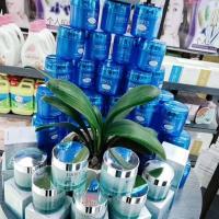 伊贝诗深海凝萃弹润海泥面膜实体店发货无盒[12月19日发完]