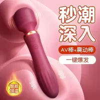 姬欲爱神加温震动棒女用自慰器按摩棒玩具情趣用品女生专用