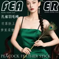 情趣用品sm成年人用品夫妻床上助爱玩具羽毛棒代批发厂家一手货源