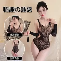 长夜漫漫情趣内衣性感女士激情套装透明性感诱惑网袜连体网衣5115