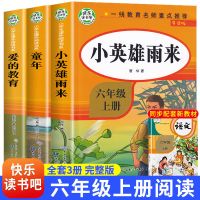 小英雄雨来正版完整版六年级上册必读童年爱的教育课外阅读书籍 假一赔十 小英雄雨来