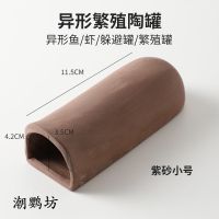 热带鱼观赏虾胡子大帆鱼异形繁殖罐熊猫异型鼠鱼躲藏罐陶罐繁殖屋 紫砂小号