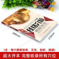 经络穴位精解图册人体经络穴位图解大图中医基础理论养生正版书籍 经络穴位精解图册[家中]