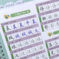 三年级字帖上册下册人教版同步语文凹槽练字帖小学生楷书钢笔字帖 三年级上册(凹槽整字)1本