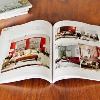 室内设计书装修设计效果图册入门自学书籍 家居装潢设计图册色彩