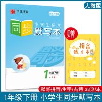 一年级练字帖小学生练字本二年级下册同步字帖默写本拼音字母练习 一年级下册 同步默写本